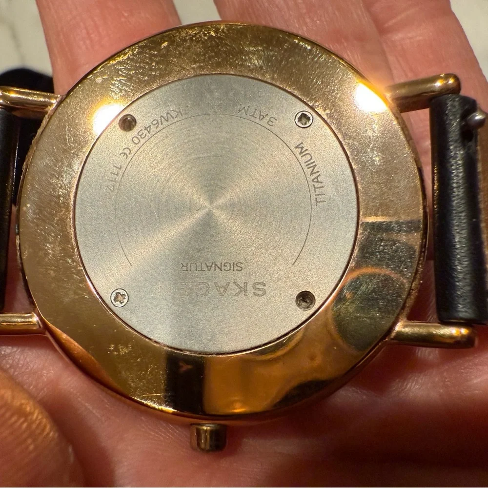Skagen Signatur SKW6430, Black and Gold with White Face